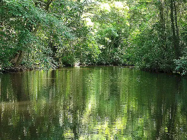 Actividades para disfrutar en Tortuguero