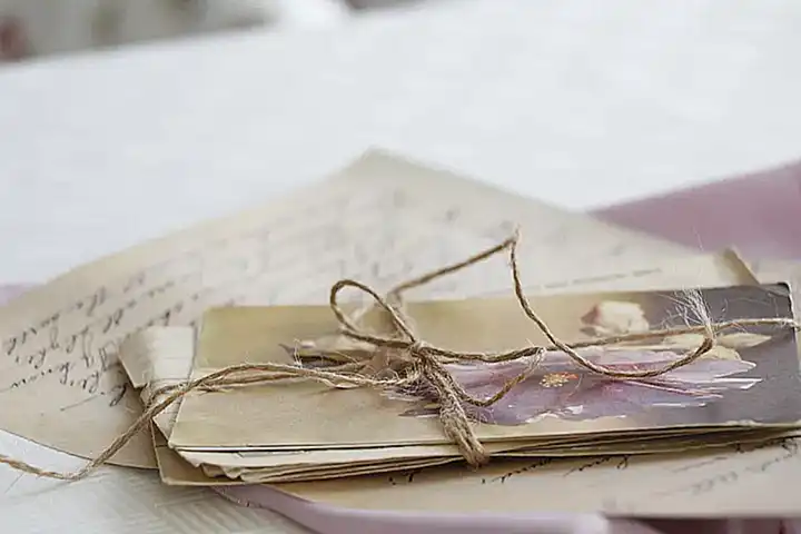 Análisis de la carta