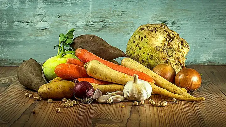 Aporte de salud y nutrición