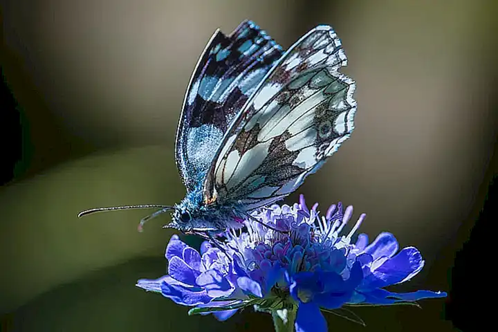Belleza natural impresionante