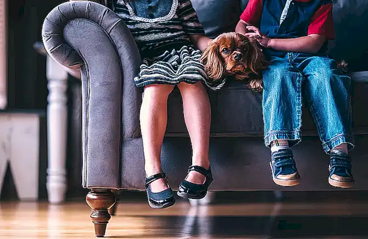 Beneficios de la mascota para niños