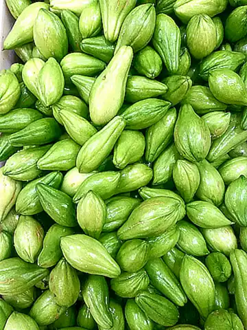 como-disfrutar-del-chayote_h2_1010.webp
