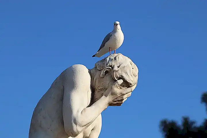 Caso poco habitual