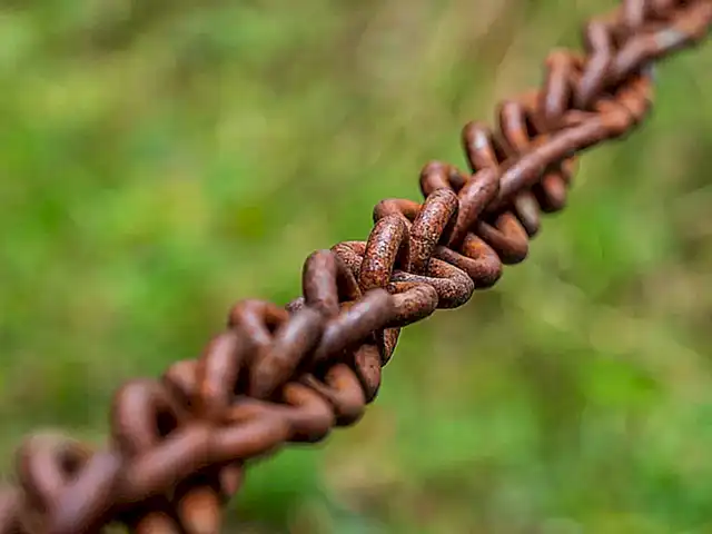 Conexión con la naturaleza