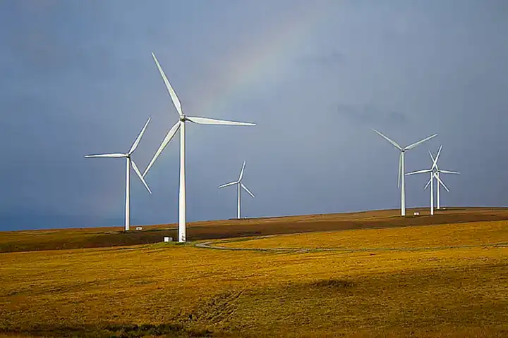 Considere a opciones sustentables y éticas