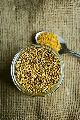 metodos-para-extraer-y-conservar-el-polen_h2_165.webp