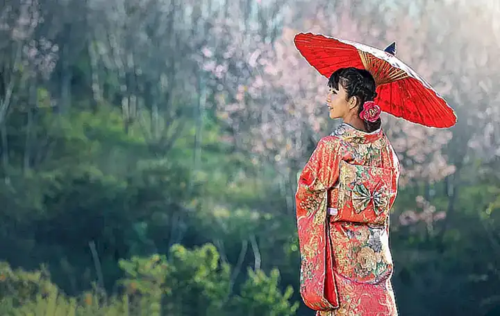Cultura japonesa