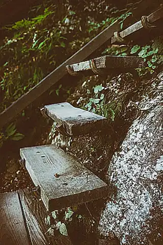 Dificultad para construir frases lógicas.