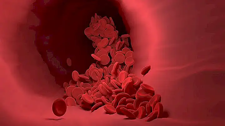 Efecto sobre el azúcar en sangre