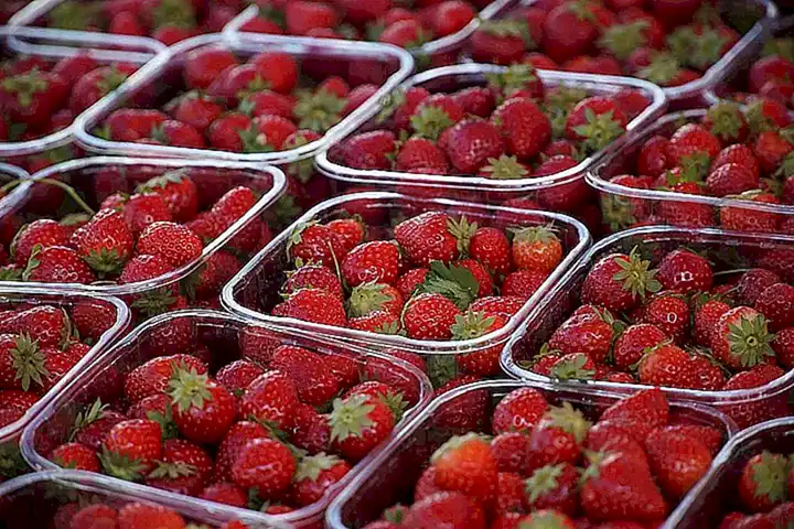 Efectos en la agricultura.