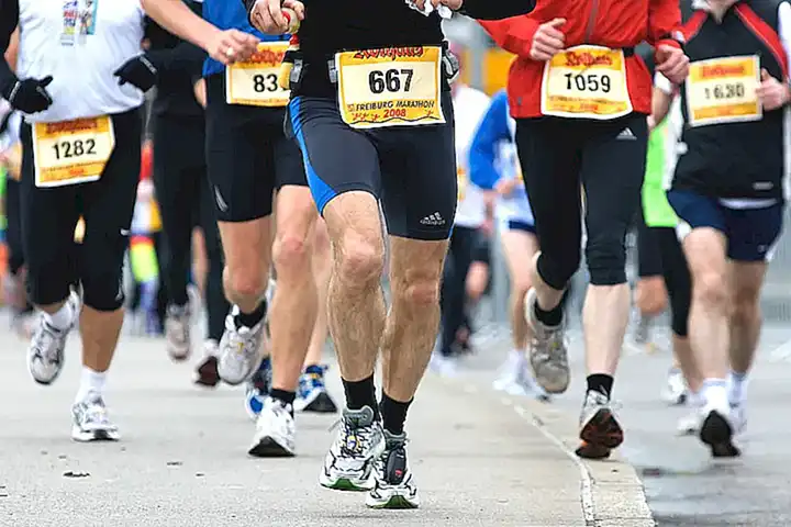 El Naufragio del Endurance