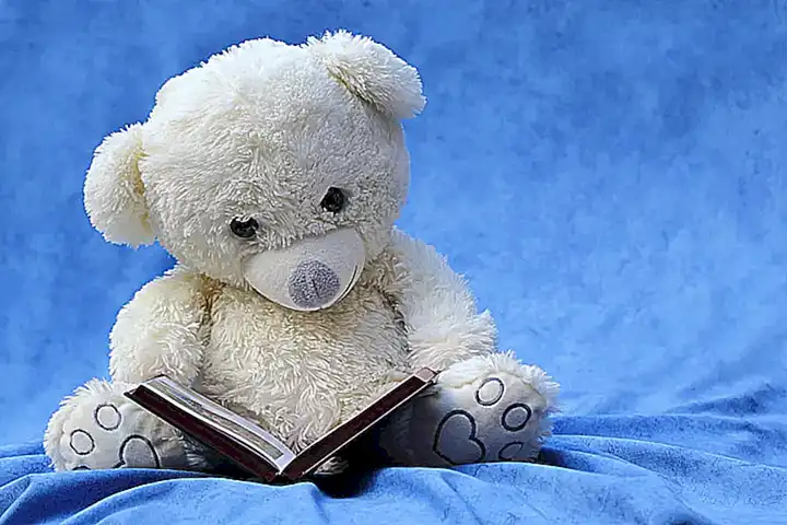 Elegir un libro