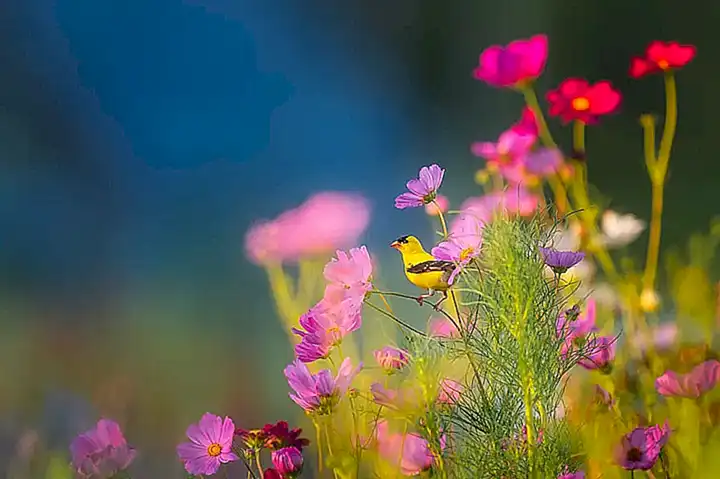 Hermosos paisajes