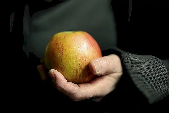 Importancia de una dieta equilibrada