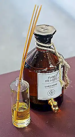 La esencia