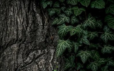 el-impacto-de-viajes-en-la-creatividad-artistica_h2_1122.webp