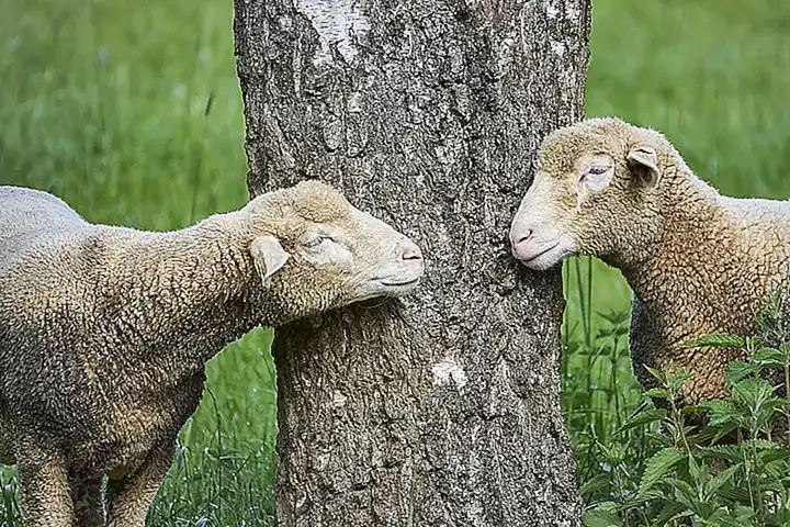 La necesidad de dialogar sin perder la calma