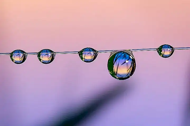 Macro