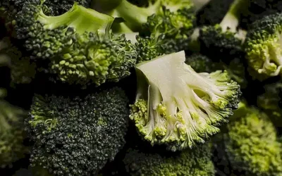 variedades-de-brocoli-y-caracteristicas-unicas_h2_1402.webp