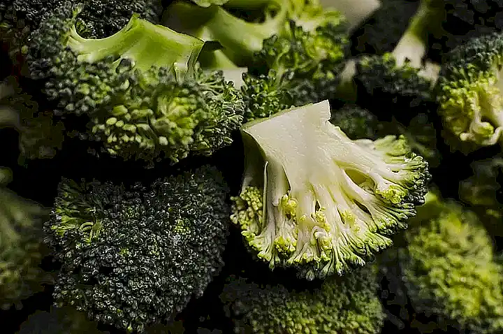 variedades-de-brocoli-y-caracteristicas-unicas_h2_1402.webp
