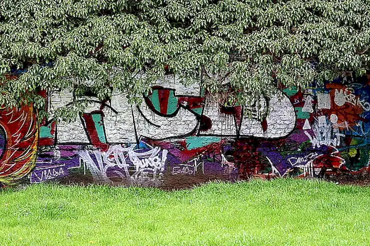 Naturaleza y arte