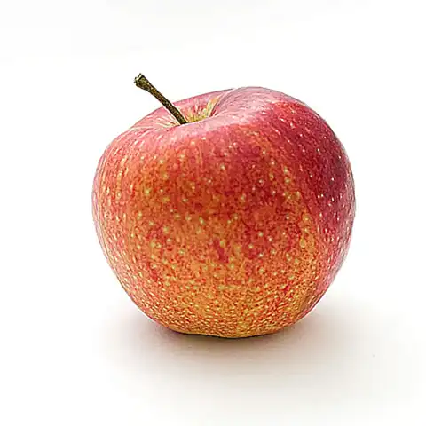 significado-simbolico-de-la-manzana-y-cruz-en-granada_h2_1734.webp
