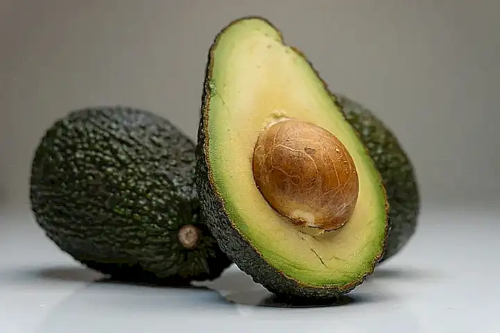 Origen del aguacate long neck