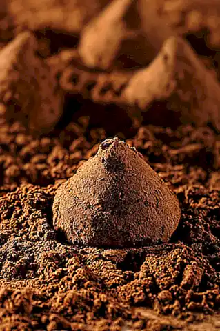Proceso de elaboración del cacao en polvo