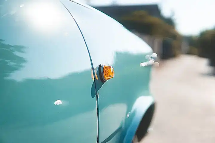 Proteger la flora y minimizar daños