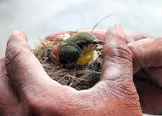Rescatar y trasladar al Anatómico Forense