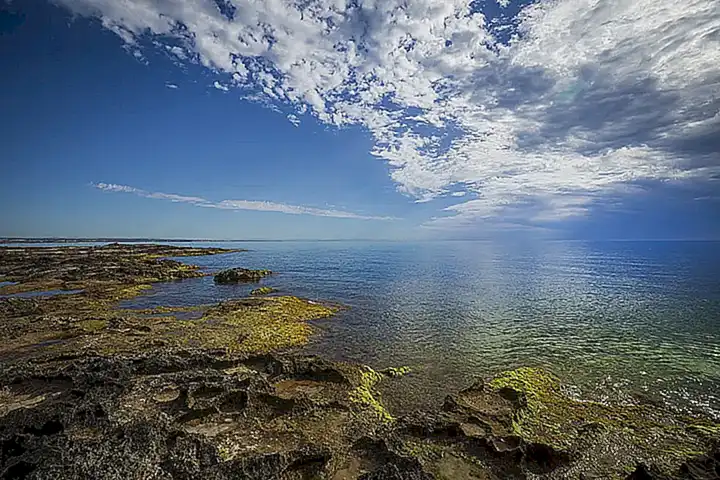 Salinas y Arenales de San Pedro del Pinatar como hábitat costero