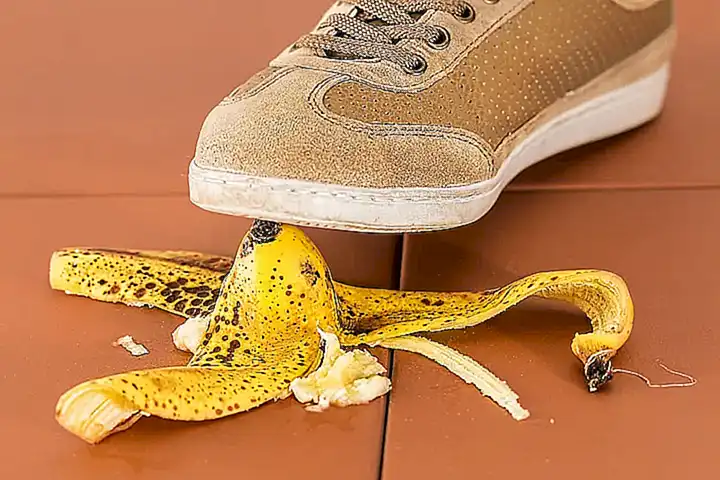 Seguridad como prioridad en el cuidado del hogar felino