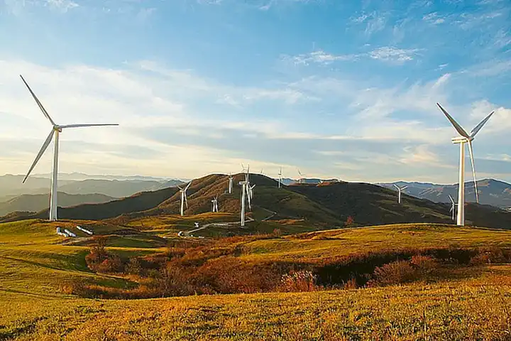 Selección del ambiente ideal
