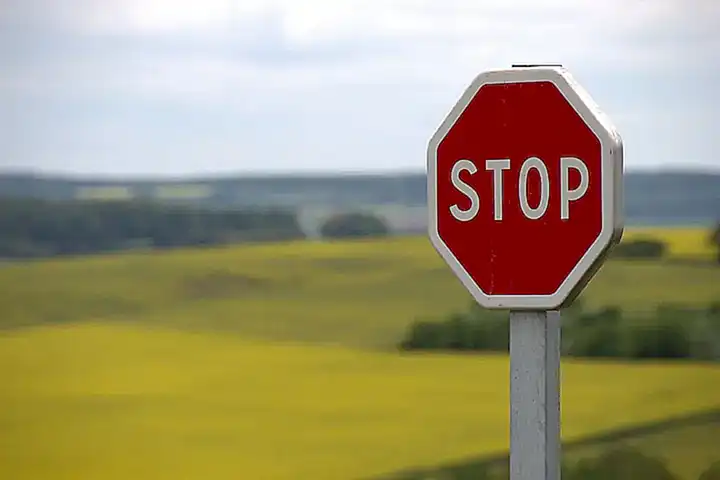 Señales de que tu perra necesita atención médica en la ruta