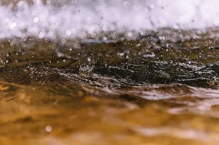 Su textura no es líquida ni aceitosa