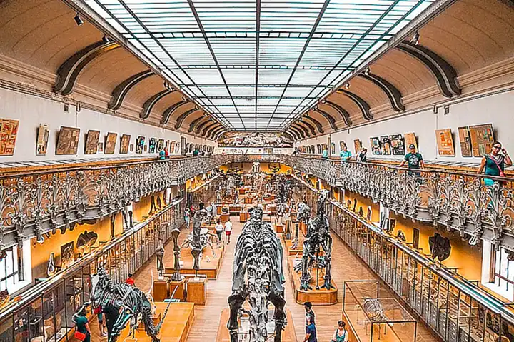Tecnología al servicio del dinosaurio
