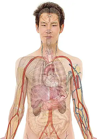 corte-recto-sencillo-y-versatil_h2_89.webp