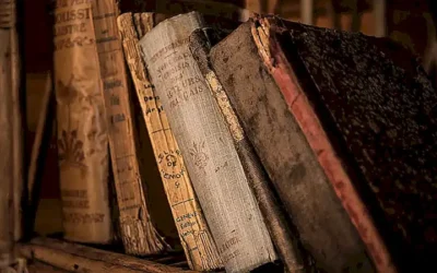 novelas-de-misterio-y-suspense_h2_272.webp