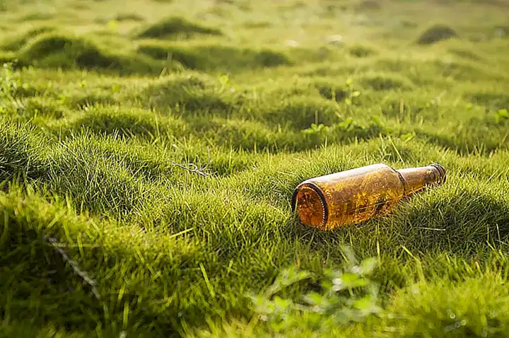Turismo responsable y protección ambiental