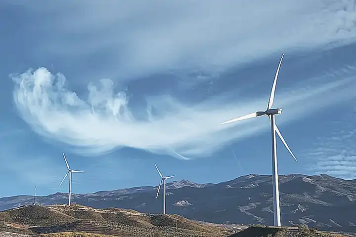 Un espectáculo memorable lleno de energía