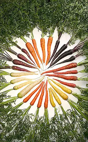 Variedad de opciones culinarias
