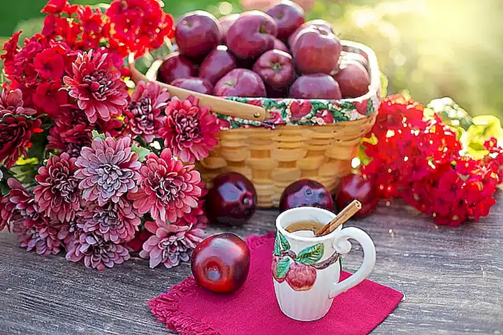Vinagre de manzana para acalmar